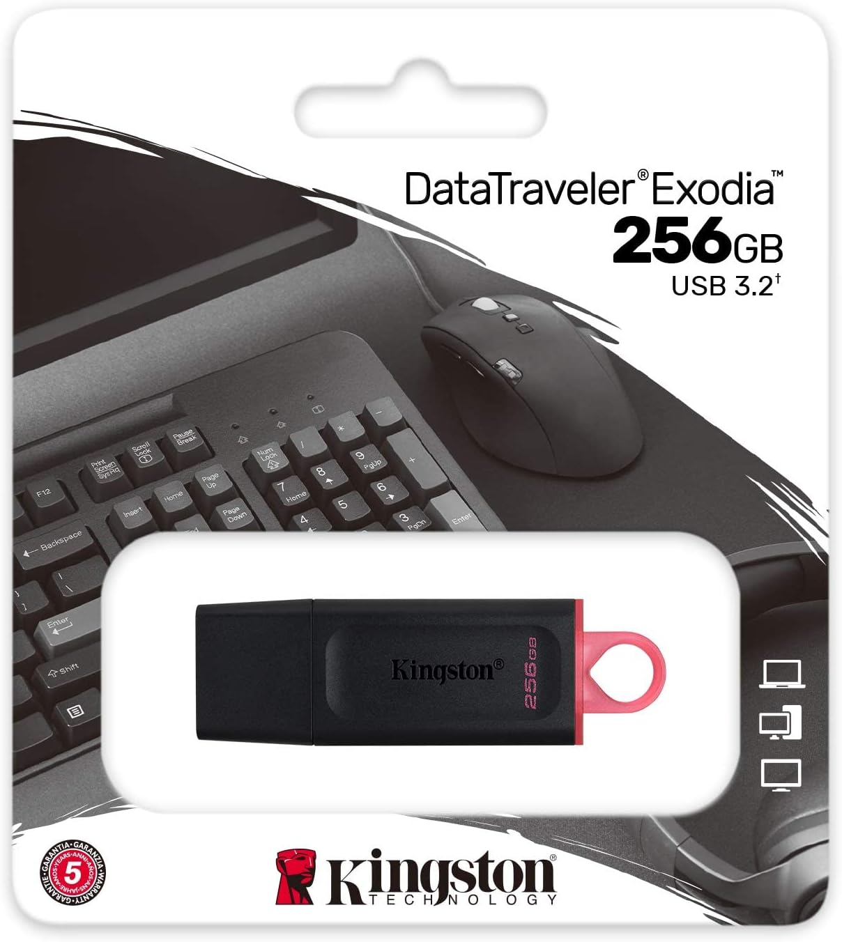 Kingston 256GB USB 3.2 DataTraveler Flash Drive